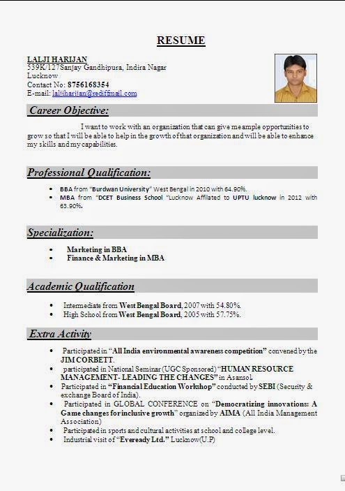 Professional resume format for mba freshers